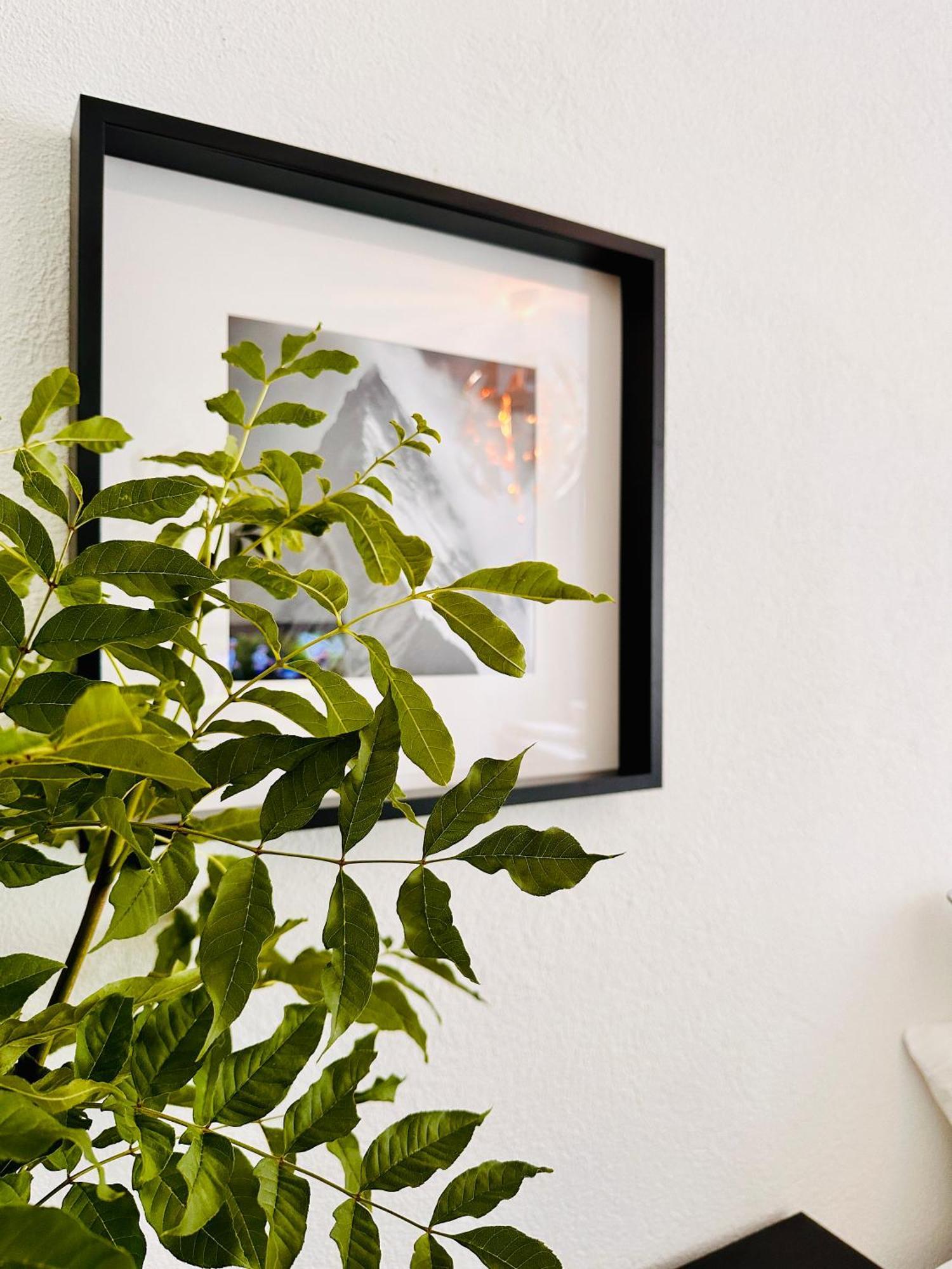 Schoene Ferienwohnung Schottwien Esterno foto
